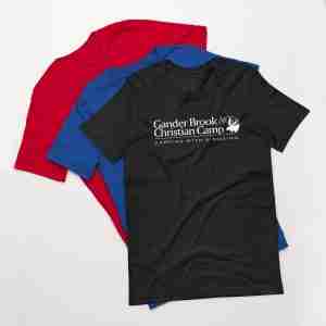 2010's GB Logo White